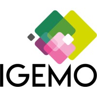 IGEMO Logo
