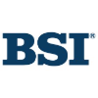 Business Software, Inc. Logo
