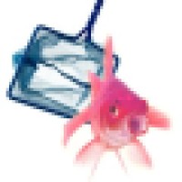 Search4you Logo