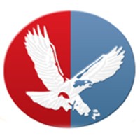 Eagle Systems - The Foil Experts Logo