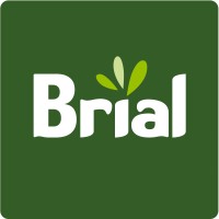 Brial Logo