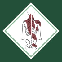Alternative HealthCare Solutions Logo