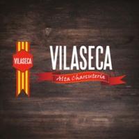 Vilaseca Logo