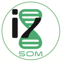 iinnovate SOM Logo