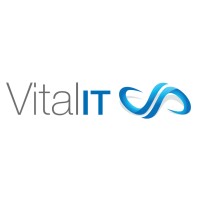 VitaliT Solutions Logo