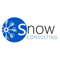 Snow Consulting Logo