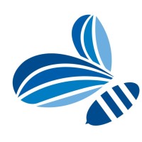 APIS Health Consulting Group Logo