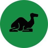 Dromy 💚 le dernier kilomètre responsable Logo