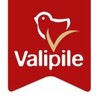 Valipile d.o.o. Logo