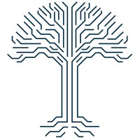 Braintree Logo