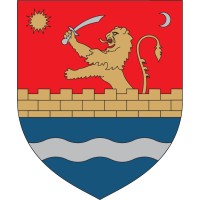 Timiș County Council Logo