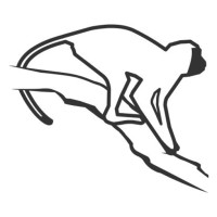 Vervet Monkey Foundation Logo