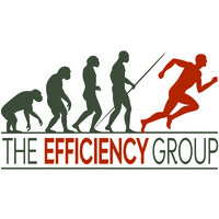 The Efficiency Group LLC Logo