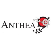 Anthea Art Investments AG Logo