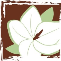 Del Vacchio Landscapes, Inc. & Christmas Decor Logo
