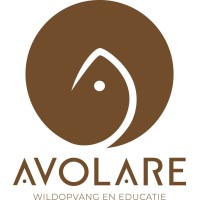 Stichting Avolare Logo