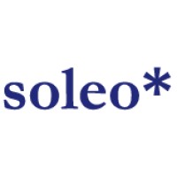 soleo* GmbH Logo
