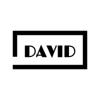 DAVID in AFRICA Logo