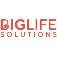 Big Life Solutions Logo