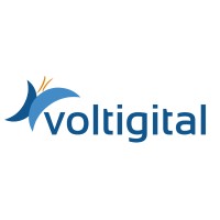 Voltigital Logo