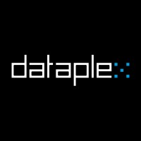 Dataplex Logo
