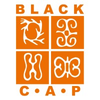Black Coalition for AIDS Prevention Logo