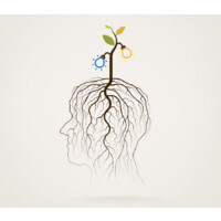 PhD Students of INSiDR Logo