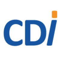 CD International BSE Logo
