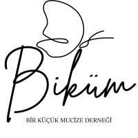 Bir Küçük Mucize Logo