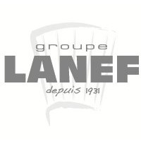 Groupe Lanef Pro Logo