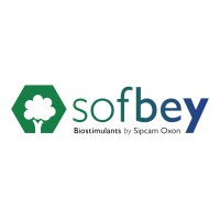 Sofbey Logo