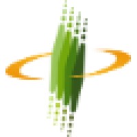 INSAN INFONESIA Logo