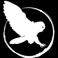 Wisdom Studio srl Logo