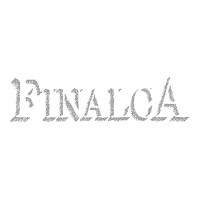 FINALCA Srl Logo