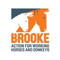 Brooke, Action For Working Horses and Donkeys Logo