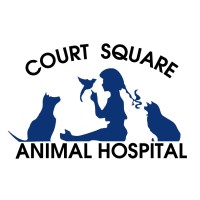 Court Square Animal Hospital Logo