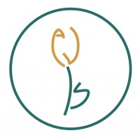 ISAV Ingegneria Logo
