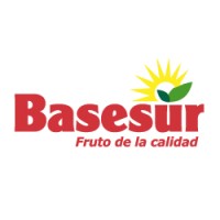 Basesur Logo