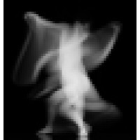 LiquidBody media, movement and dance Logo