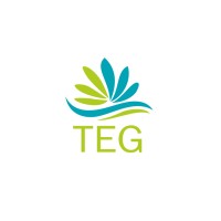 TEG Training & Engineering Group Logo