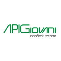 ApiGiovani Confimi Verona Logo