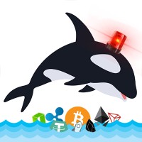 Whale Alert Logo