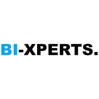 BI-XPERTS Logo