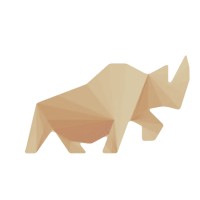 rhyno solutions ag Logo