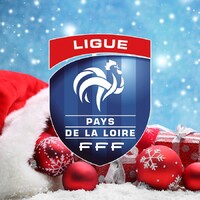 Ligue de Football des Pays de la Loire Logo
