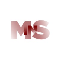 MSIN Group Logo