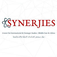 Synerjies Center for International & Strategic Studies Logo