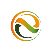 NSC EGYPT Logo