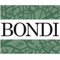 Bondi Executive Search Logo