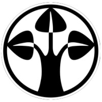 DEUTSCHE FINANCE GROUP Logo